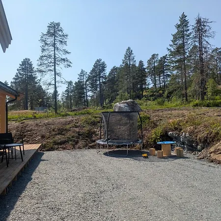 In A Sunny Area With A View *